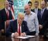 Joe Rogan influence helps drive Trump psychedelic policy shift