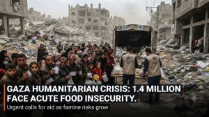 1.4 Million People in Gaza Face Acute Food Insecurity as Humanitarian Crisis Worsens